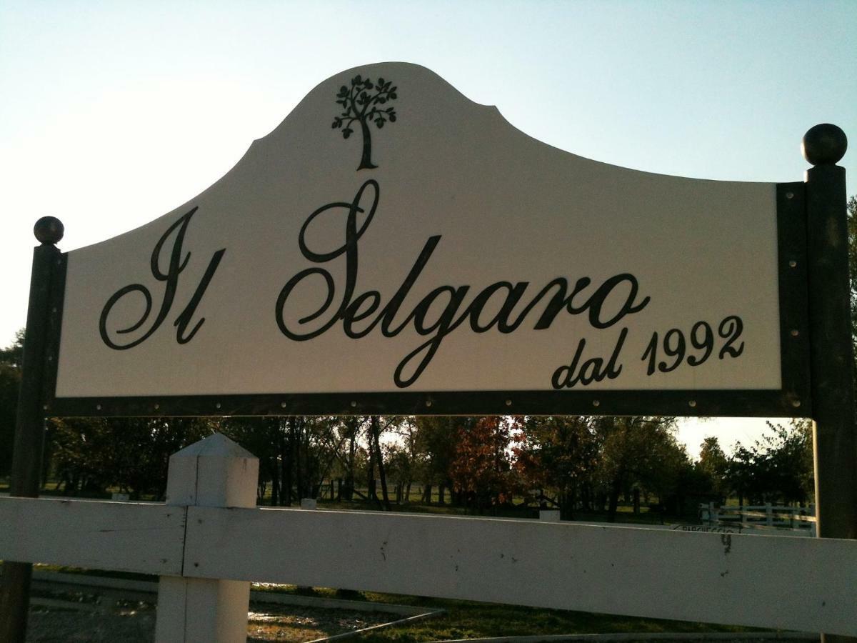 Il Selgaro Agriturismo Hotel Zelarino Esterno foto